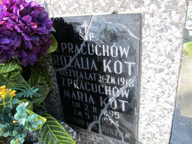Maria Kot 1895 Biskupice - Grobonet - Wyszukiwarka osób pochowanych