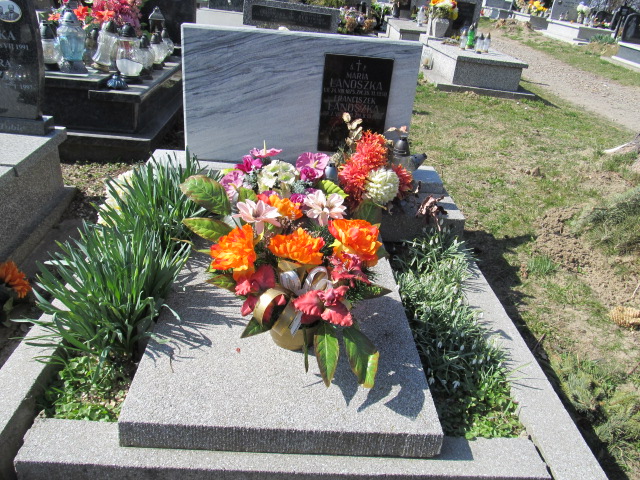 Grób Maria Łanoszka