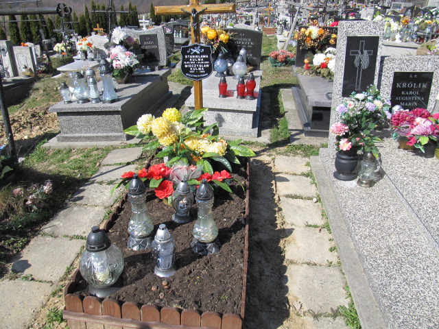 Grób Stanisława Kulma