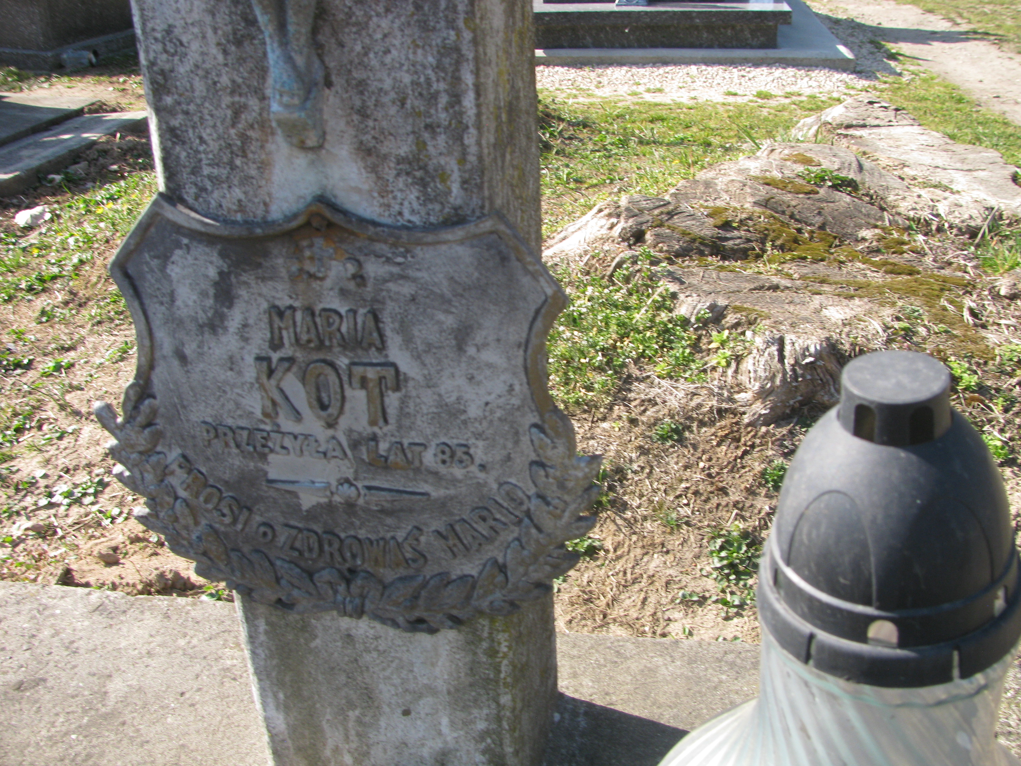 Maria Kot Biskupice - Grobonet - Wyszukiwarka osób pochowanych